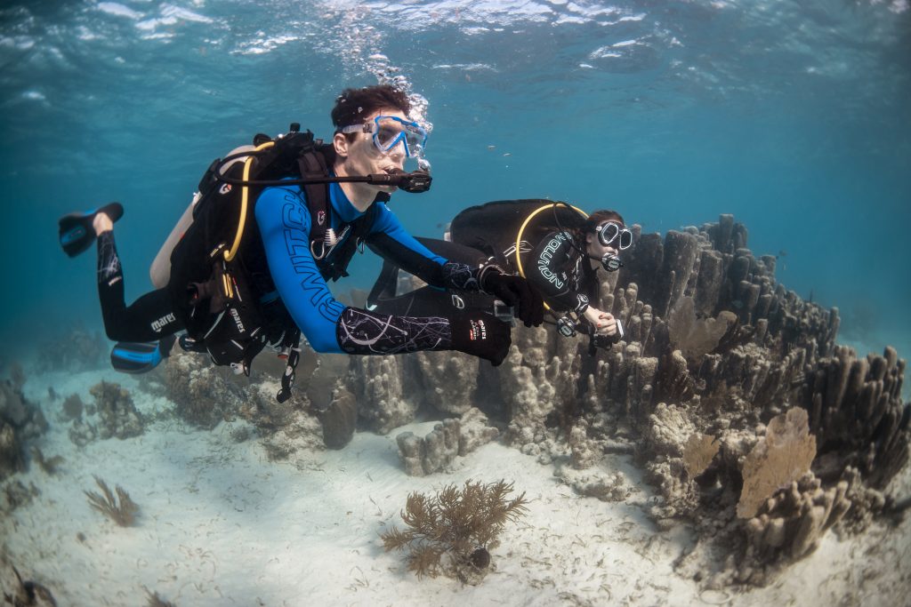 Underwater Navigator