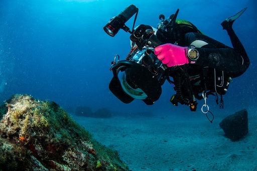Digital Underwater Photographer